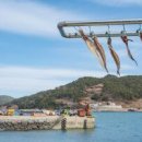 (주)두바퀴소프트 이미지