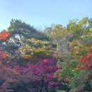 주차타워 | 단풍명소 화담숲 실시간 단풍시기 예약방법 주차타워후기