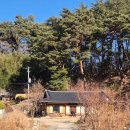 금성로4(서) | 맛집부터 놀거리, 소품샵까지 겨울 강릉여행 1박2일 코스 10곳 총정리 - bts 방탄 버스정류장