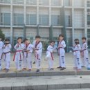 용인대 YTA 태권도장 이미지