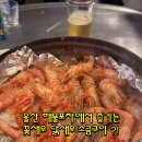 해물포차바다이야기 이미지