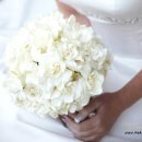 모어블랙 이미지