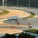 파크원 제주 | [과천] 어른들의 도파민 <렛츠런파크> 후기_원데이패스 무료 입장권 정보