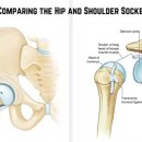 근육 연구소 이미지
