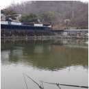 임진리낚시터