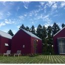 춤추는달 이미지