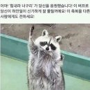 시발점 네이버블로그