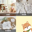 어스피컴퍼니 이미지