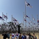 선태권도 이미지