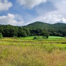 원요진농장 이미지