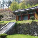 괴산1길 이미지