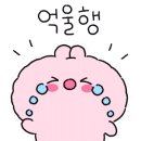 송주불냉면&칼국수 이미지