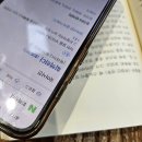 김선태농장 이미지