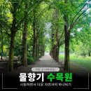 전기차충전소_수목원테마파크 | 오산 물향기수목원 무료입장과 주차료 정보 그리고 방문후기