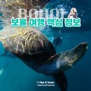 동남아 휴양지 추천, 2026년 대세는 보홀 여행 코스·경비·핵심정보 총정리