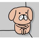 붐헤어샵 이미지