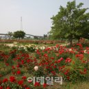 뚝섬한강공원-58 이미지