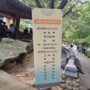 녹원수선 | 천년고찰 김천 직지사에 선홍빛 꽃무릇이 유혹하다