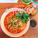 한남동 혼밥 맛집 소이연남 마오 똠얌쌀국수 뽀삐아 세트 내돈내산 후기