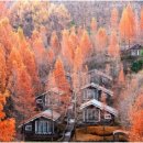 대나무집펜션 이미지