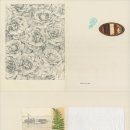 세네갈의 눈/ 아르투르 스크리아빈 (지은이),요안나 콘세이요 (그림),최혜진 (옮긴이)사계절 이미지