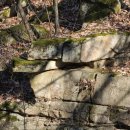 충청도양반길(2코스) 이미지