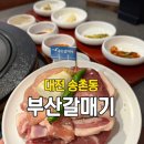 한우청 | 대전 송촌동 맛집 부산갈매기 송촌점 가성비 좋은 고기집 솔직후기