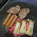 여수돔비치펜션 | [여수 여행] 돔 비치 펜션 (독채/ 수영장/ 개별 찜질방)
