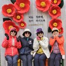 동백정 이미지