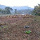 진교주유소 이미지