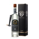벨루가(Beluga) 이미지