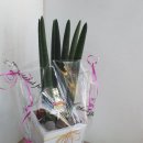 kk당구장 이미지