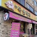 뉴독 이미지