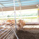 민구농장 이미지