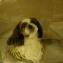 신석초교 이미지