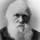 【찰스 다윈 종의 기원과 진화론】「On the Origin of Species by Means of Natural Selection」 이미지