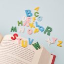 숲속초교 이미지