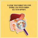 피트니스마틴 이미지