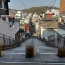 강서구-35 이미지