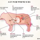 솔밭원조곱창구이 네이버블로그