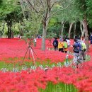 동로보건지소 이미지