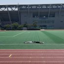 동아(아)제2경로당 | 2025 경주동아마라톤 첫 풀 완주후기 (2025.10.18)