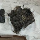 하수구막힘싱크대막힘변기막힘역류배관뚫는곳업체 이미지