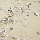 남해 그곳 이미지