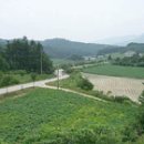 대기리마을 이미지