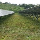 진안3태양광발전소 이미지