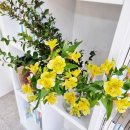 일상 속 생활 꽃꽂이 | 바쁜 일상 속 문화생활, 정왕역 근처 한국 마사회 문화센터에서 시작하세요~!!! 꽃꽂이수업도 있습니다~!!!