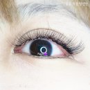보라미네뷰티