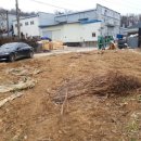 분천농장 이미지