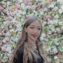 비비엔느(VIVIENNE) - 수영구 | 비비엔느(VIVIENNE)